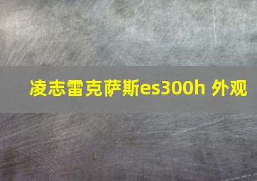 凌志雷克萨斯es300h 外观